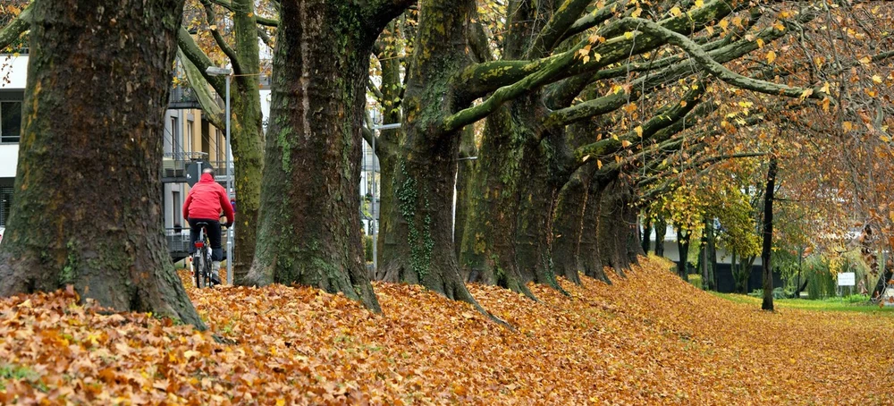 Cum va fi vremea în luna noiembrie. Temperaturi peste normal și ploi în sud-est