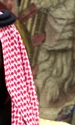 Prințul  moștenitor  Mohammed  bin Salman gettyimages jpg