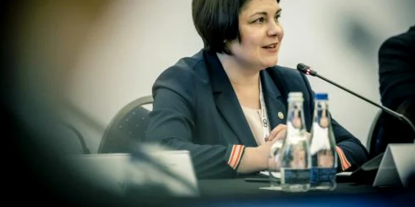 20221129 mlm bucuresti 4330 jpeg