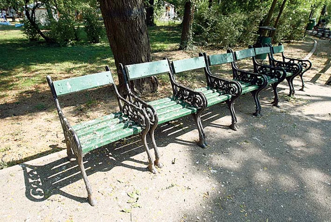 Nici pe bănci nu se mai poate sta din cauza excrementelor