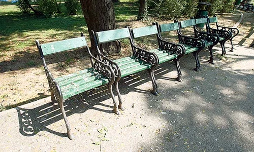 Nici pe bănci nu se mai poate sta din cauza excrementelor jpeg
