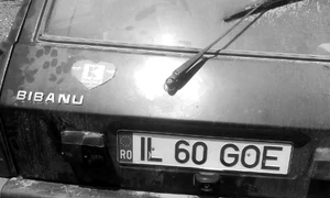 Cu ochii n 3,14 jpeg