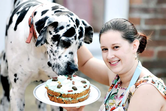 Papa pentru catei (Fotografii: photoland/caters)