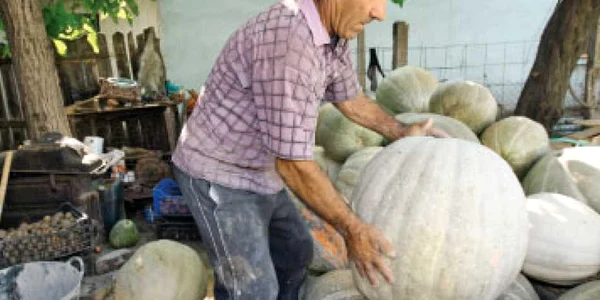 Judeţ cu judeţ:Primăria Iaşi scoate la licitaţie, la 4 septembrie, 84 de locuri de parcare