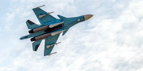 shutterstock 310831502 jpg