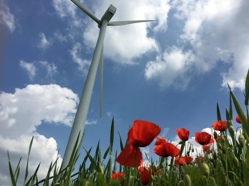 Șase provocări și oportunități legate de amprenta de carbon în sectorul energetic jpg