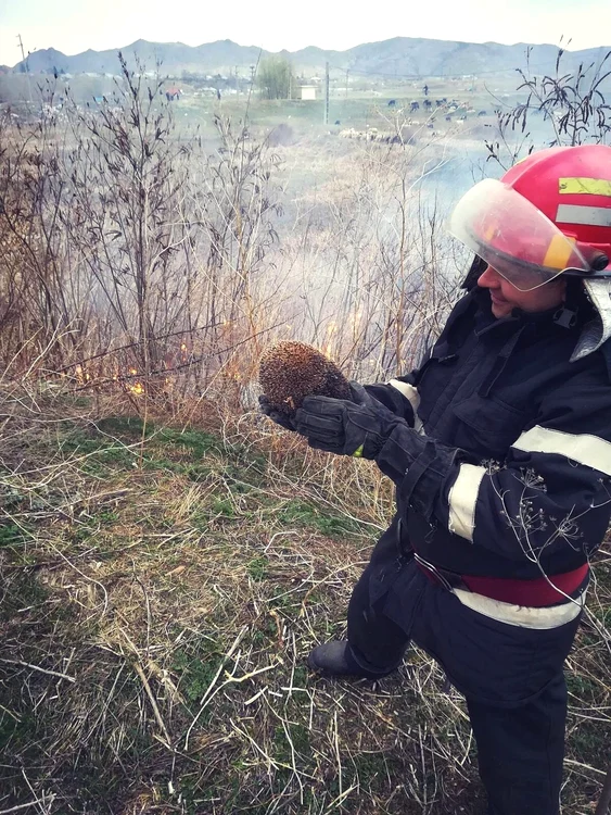 
    Răzvan Tudose a participat la multe misiuni de stingere a incendiilor foto: captura Facebook  