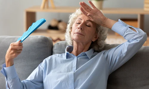 shutterstock 1562123071 jpg