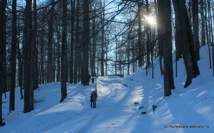Drumul pavat, iarna. Foto: Daniel Guță