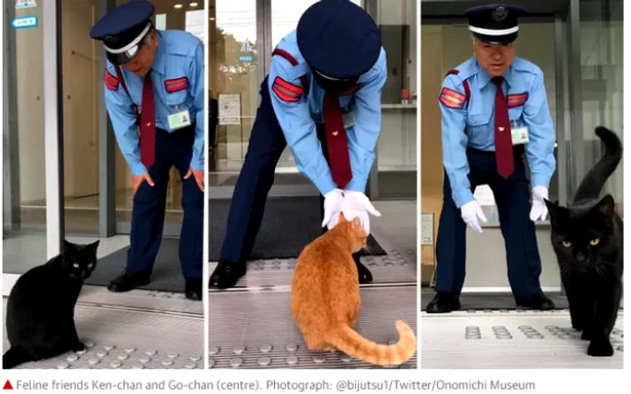 Imagine cu una dintre felinele insistente FOTO: Twitter Muzeul de Artă din Onomichi/via boredpanda.com