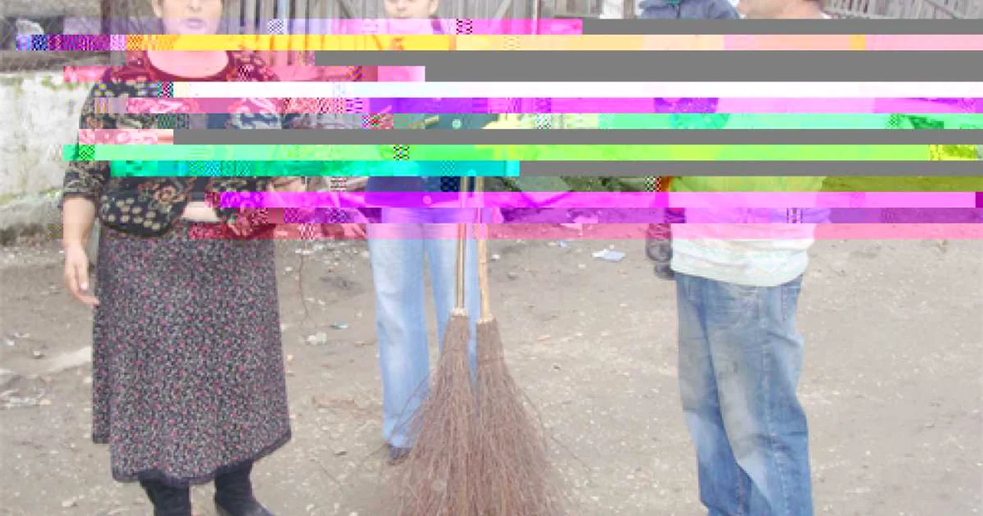 Câţiva membri ai familiei Pătru din Lunca ne spun cum trăiesc din vânzarea măturilor. FOTO: DŢ
