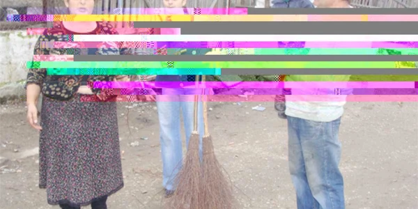 Câţiva membri ai familiei Pătru din Lunca ne spun cum trăiesc din vânzarea măturilor. FOTO: DŢ