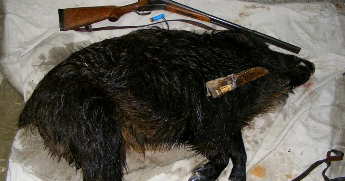 Vânătoarea în deltă ar putea fi reluată (foto arhivă)