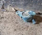 Un dulap descoperit într-o casă din Pompeii, plin cu obiecte personale