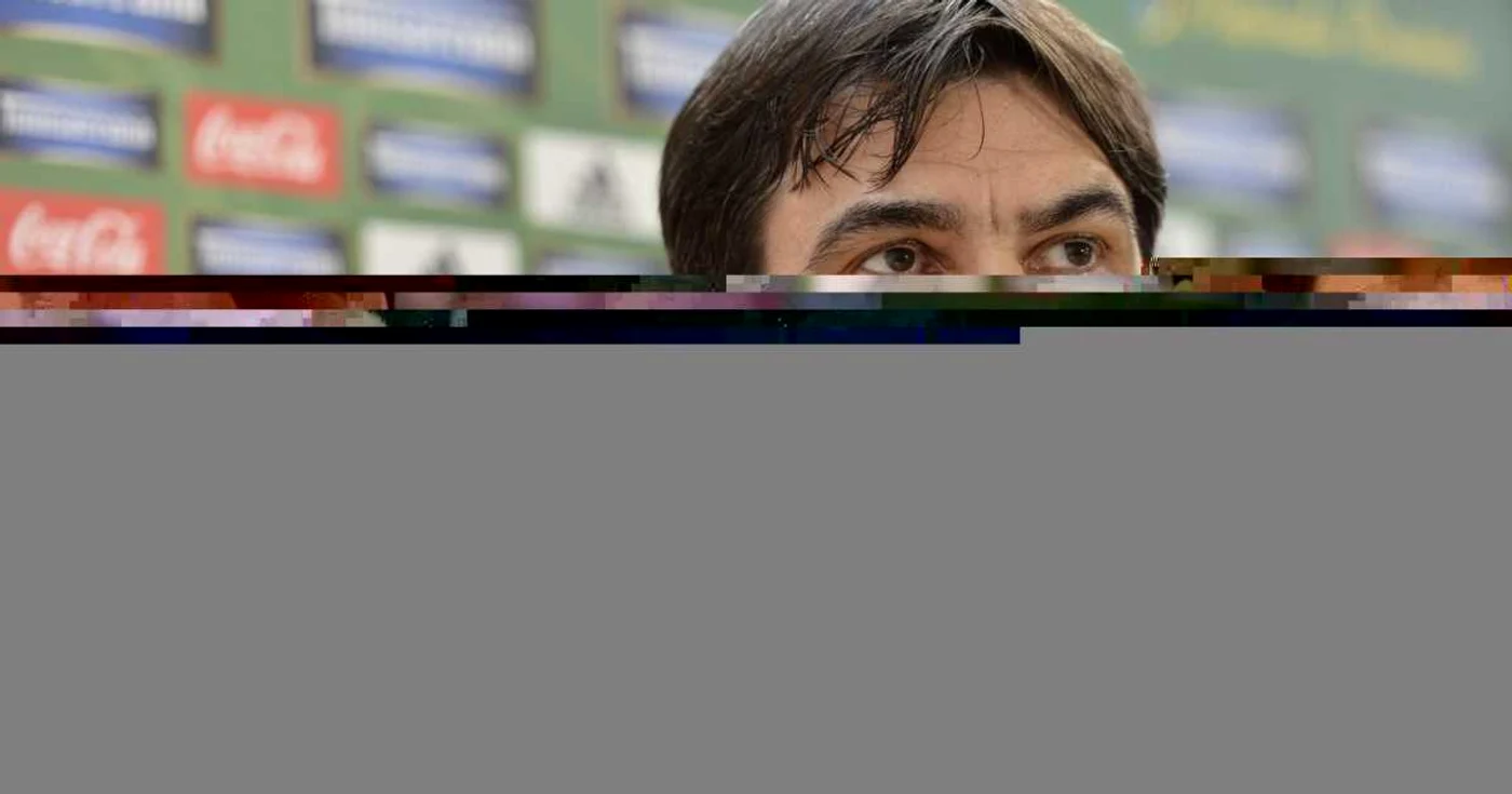 Victor Piţurcă pregăteşte naţionala din iunie 2011 FOTO Mediafax