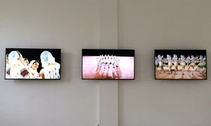 Pavel Brăila: cum să privești astăzi o expoziție a lumii jpeg