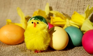 pexels couleur 13678728 jpg