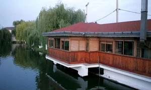 Casa lui Dumitru Sechelariu, în 2009  (Foto: Adevarul) jpeg