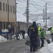 detinuti  deszapezire  FOTO primaria aiud jpg