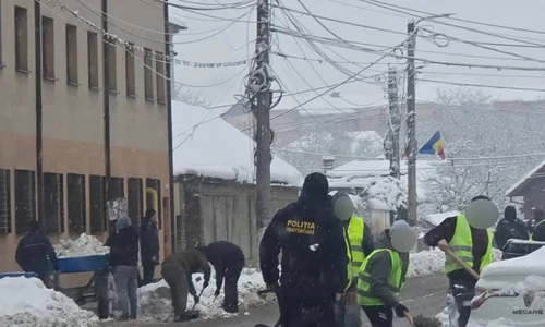 detinuti  deszapezire  FOTO primaria aiud jpg