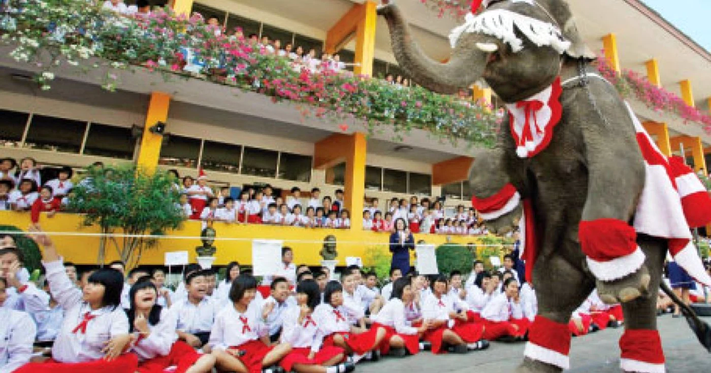 În Thailanda, elefanţii sunt cei care dau cadouri copiilor de Crăciun 