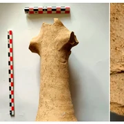 fragment amfora A8 fb  Vasile diaconu png