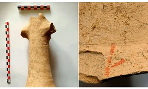 fragment amfora A8 fb  Vasile diaconu png