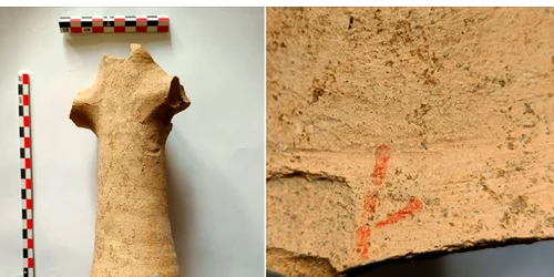 fragment amfora A8 fb  Vasile diaconu png