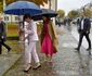 Regina Letizia și Regele Felipe în vizită la Berlin, Profimedia (1) jpg