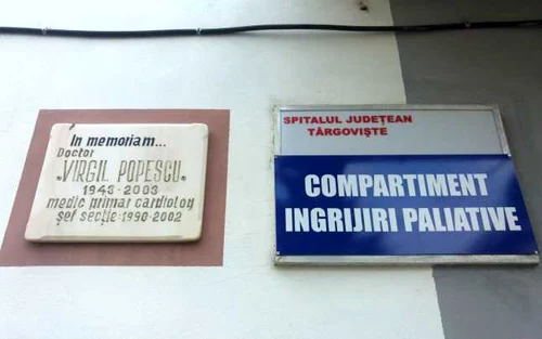 paliativetgv