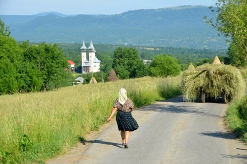 1 65231 original jpg jpeg