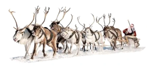 6ed1dacb25654a881da53ef309a0d334 jpg jpeg