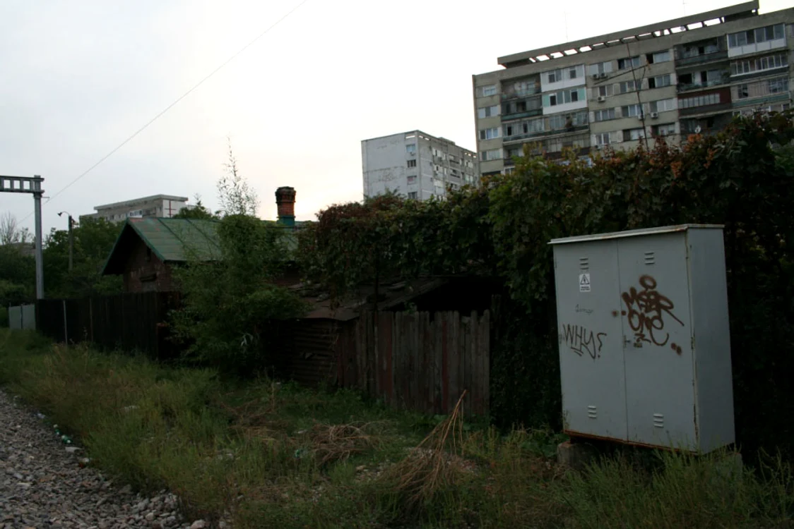 Grădinar de Bucureşti jpeg