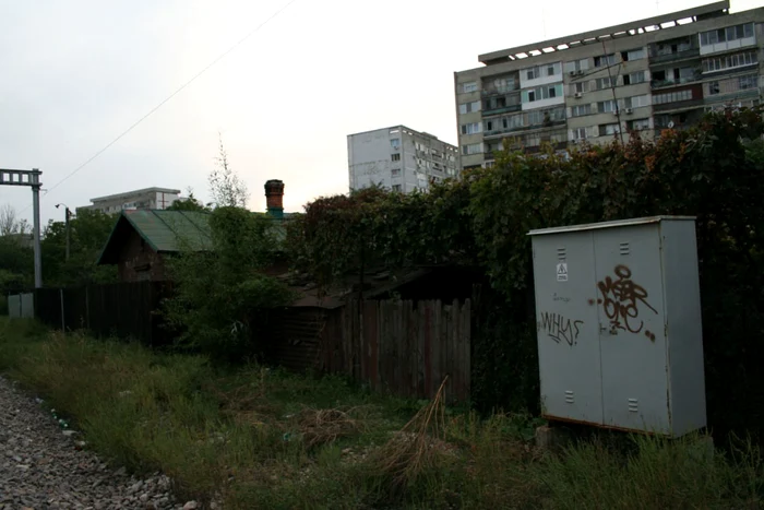Grădinar de Bucureşti jpeg
