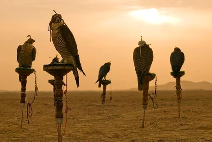 20 emirul dubaiului seicul mohammed 2 jpg jpeg