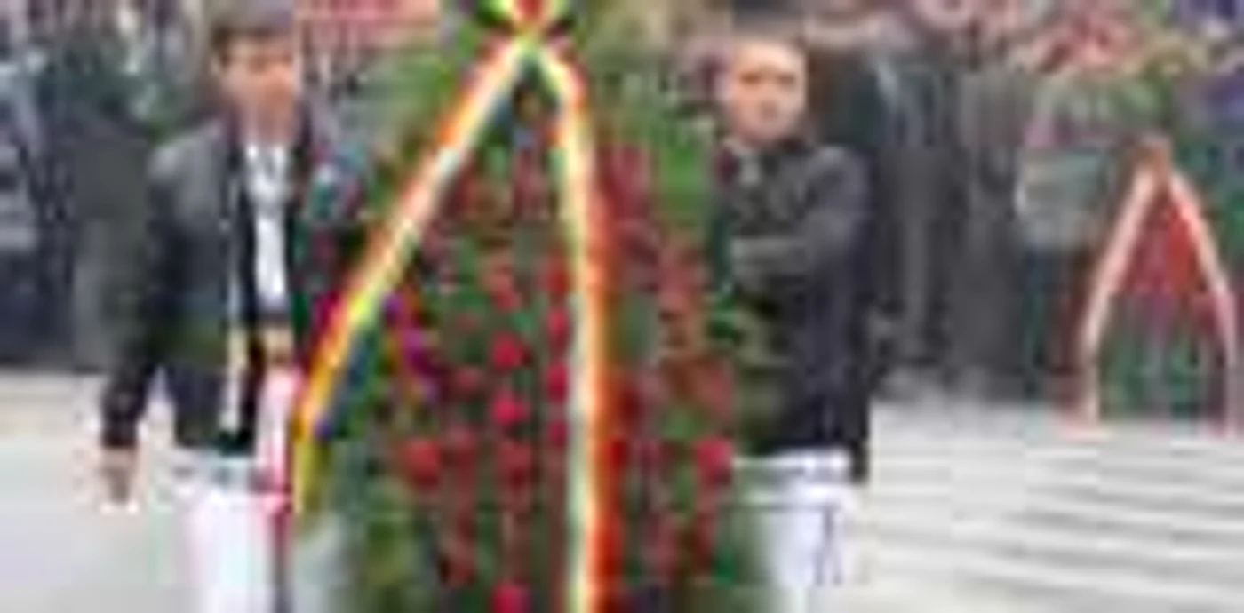 Depunere de coroane 8