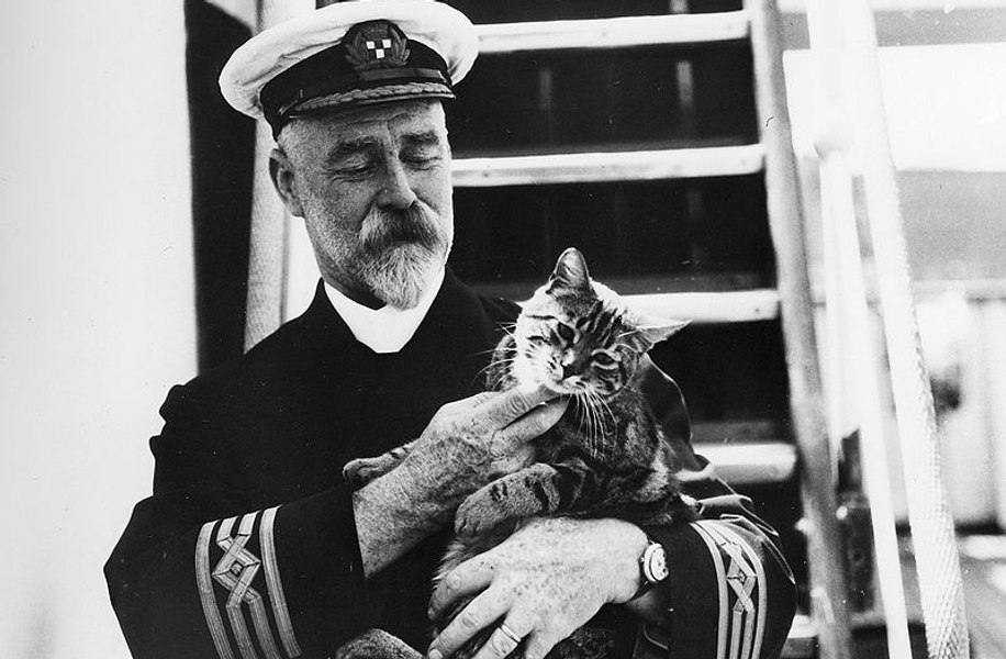 Istoria uitată a pisicilor din Marina militară a lumii. O sursă de superstiții și mascota marinarilor, unele feline nu au ajuns niciodată pe uscat
