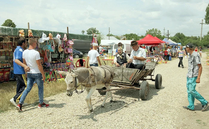 
    George (73 de ani) şi Iulia Ene (69 de ani) au îmbrăcat „hainele  de oraş”, l-au înhămat pe măgăruşul Marcel la căruţă şi au pornit-o spre bâlci, la distracţie  