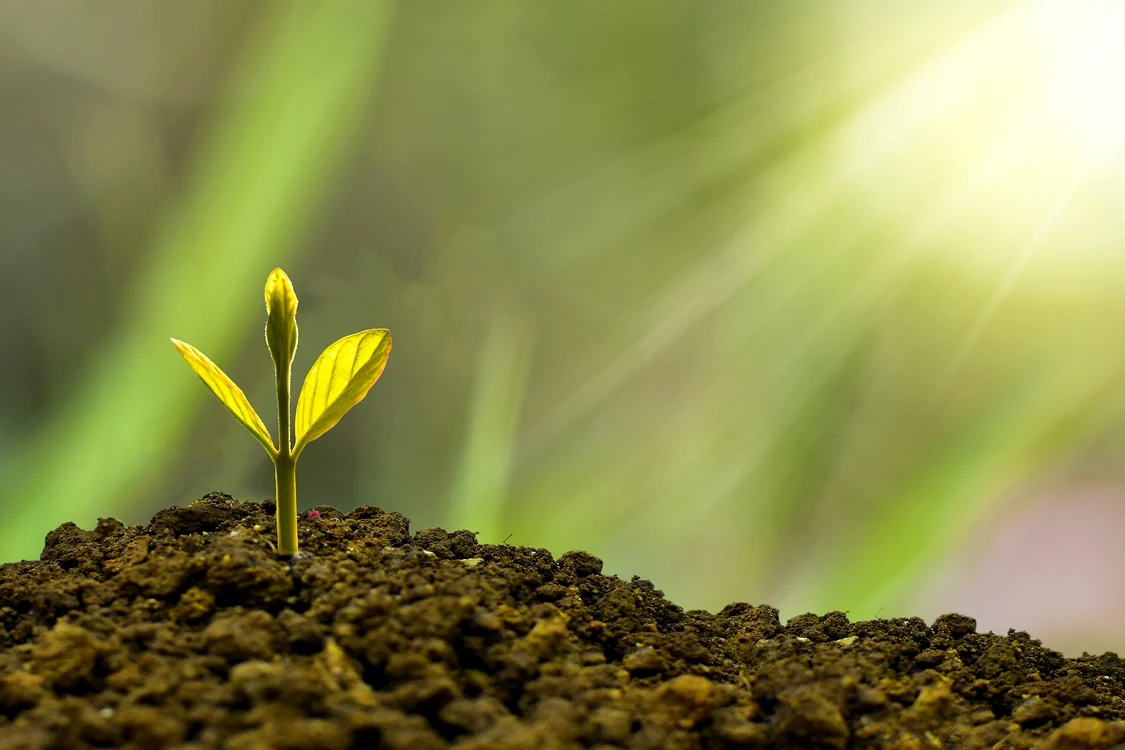 
    Horoscop săptămânal 15-21 februarie 2021: Capricornii au parte de ajutor financiar de la rudefoto: Pixabay  