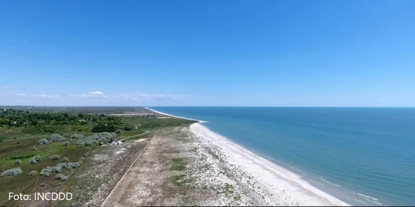 Plaja salbatica foto