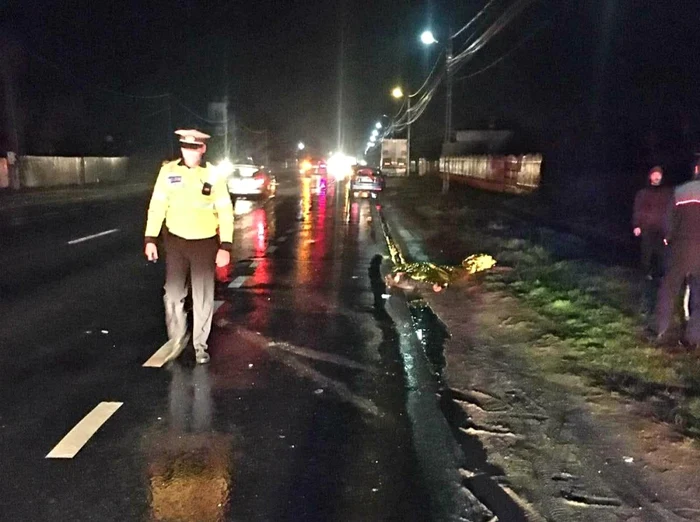 Accidentul a avut loc pe DN2, în localitatea Moviliţa FOTO IPJ Ialomiţa