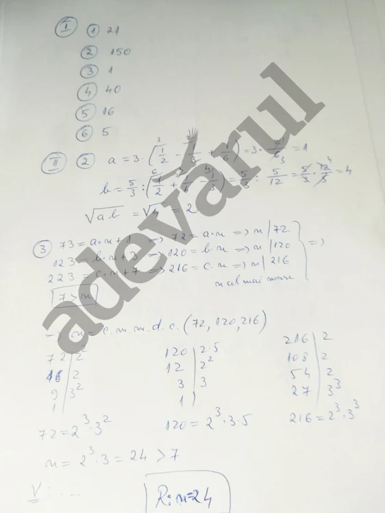 Evaluare naţională - rezolvare matematică 1