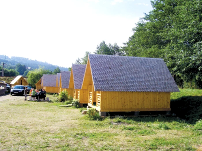 Hunedoara: Ferme şi cabane scoase la mezat de Finanţe