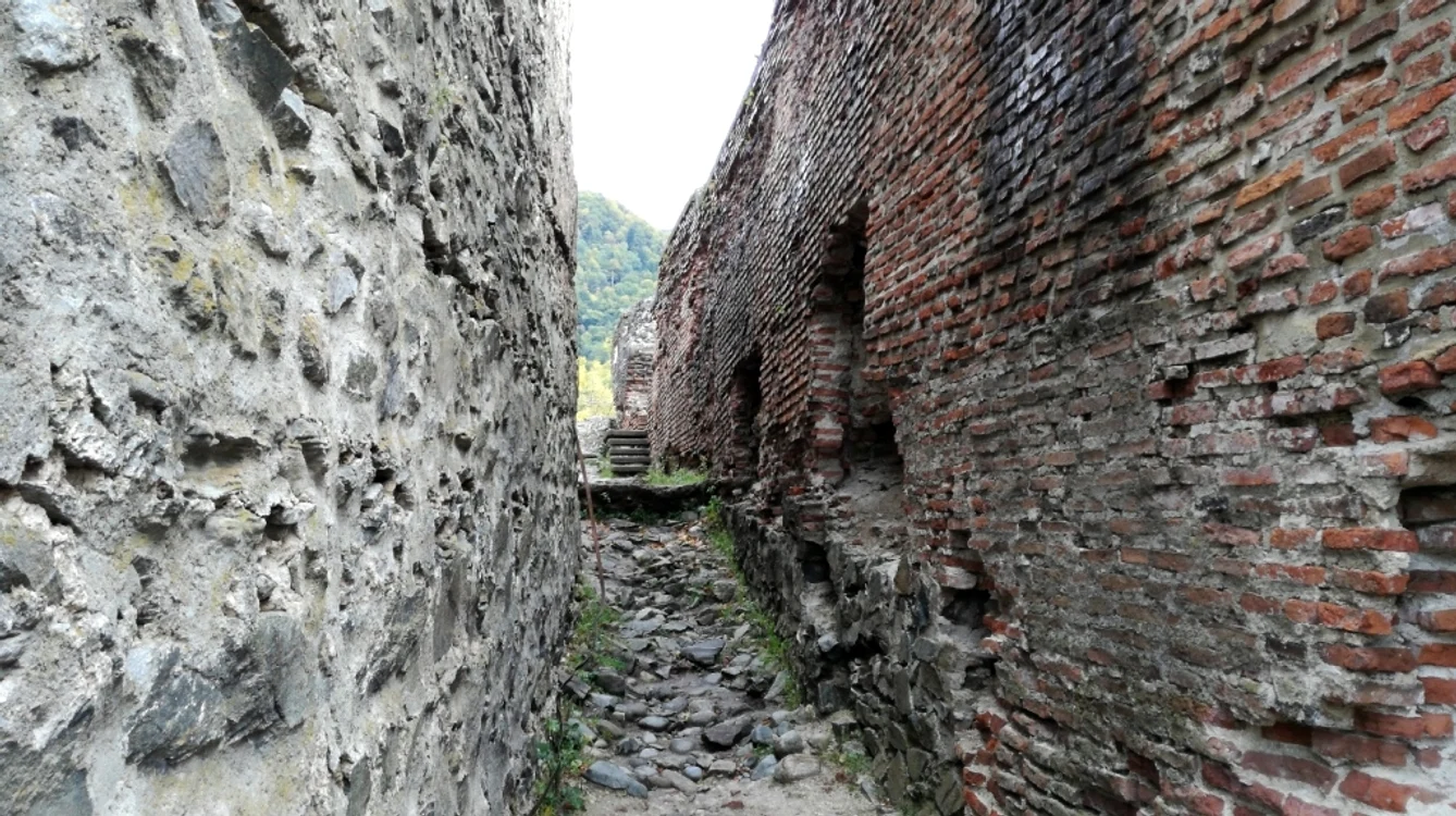 Cetatea Poenari 8 jpg jpeg