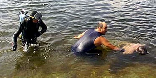 Bacău: Patru copii, înecaţi într-un iaz artificial