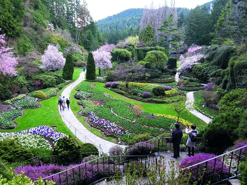 Vedere panoramică din Butcher Garden, Victoria