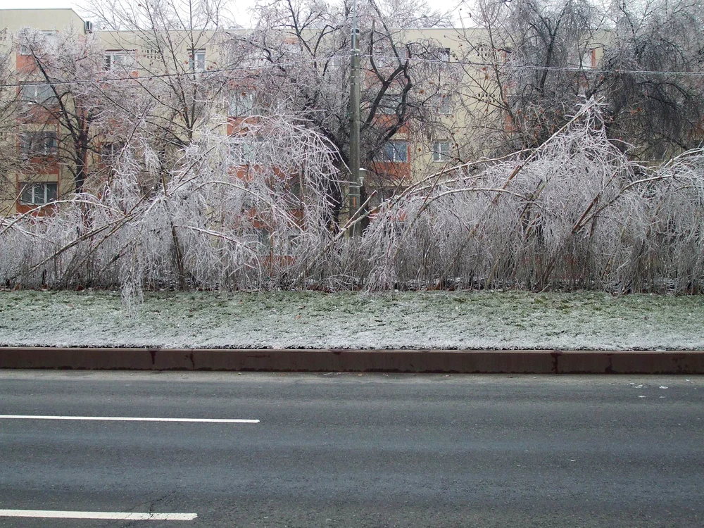 „Culmea este că am avut dreptate“ – interviu cu meteorologul Romica JURCA jpeg