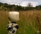 robotul poppy imprimanta 3d