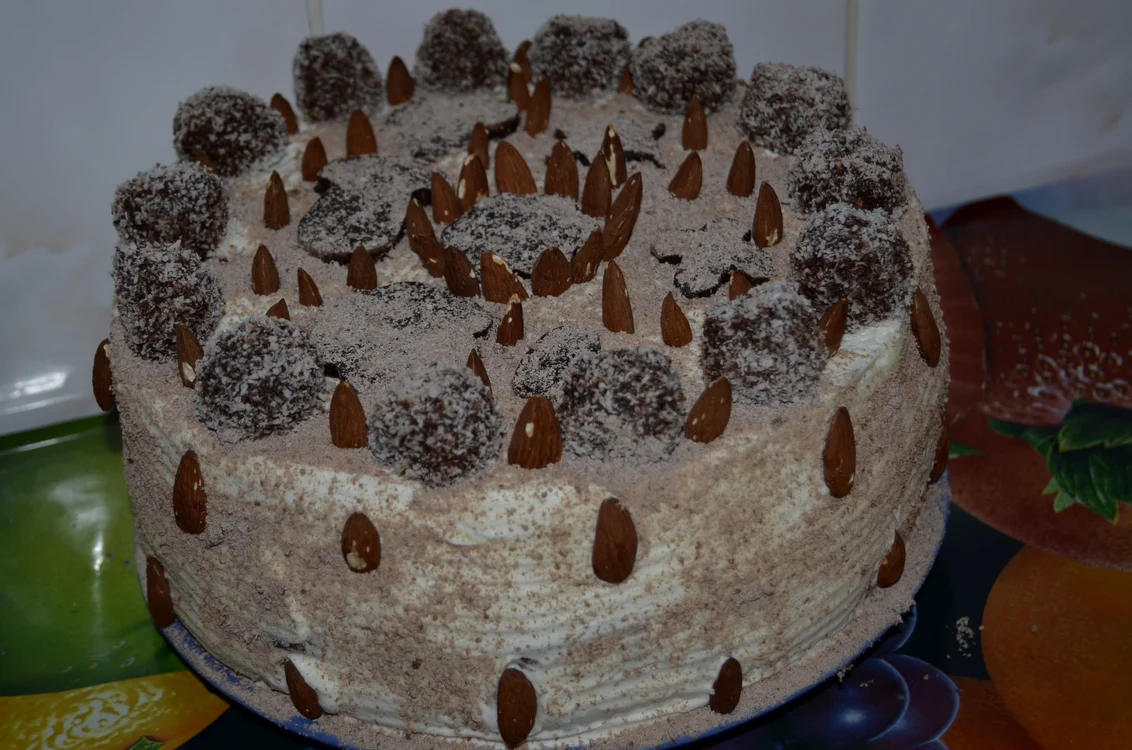 
    Tort Forest  