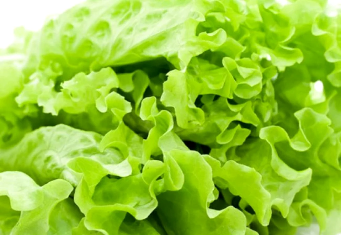 Salata verde, un aliment care trebuie păstrat corect pentru a nu e îmbolnăvi FOTO retete.acasa.ro